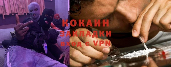 индика Богданович