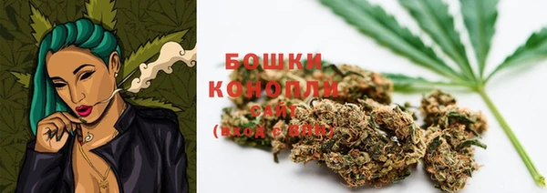 индика Богданович