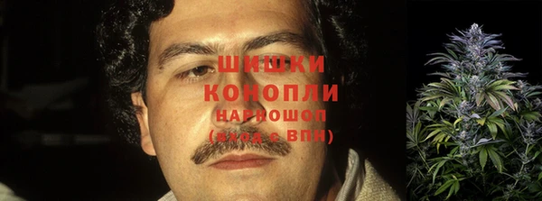 индика Богданович