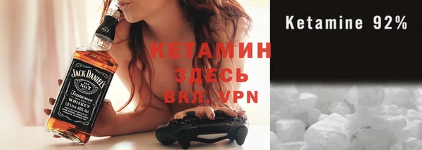 индика Богданович