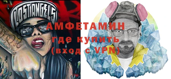 индика Богданович