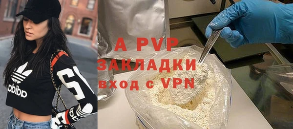 индика Богданович
