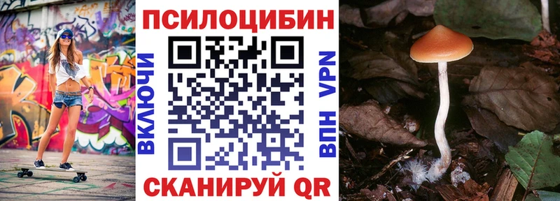 Псилоцибиновые грибы GOLDEN TEACHER Славянск-на-Кубани