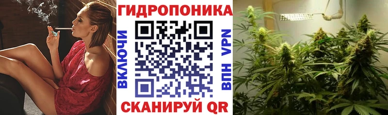 МАРИХУАНА план Славянск-на-Кубани